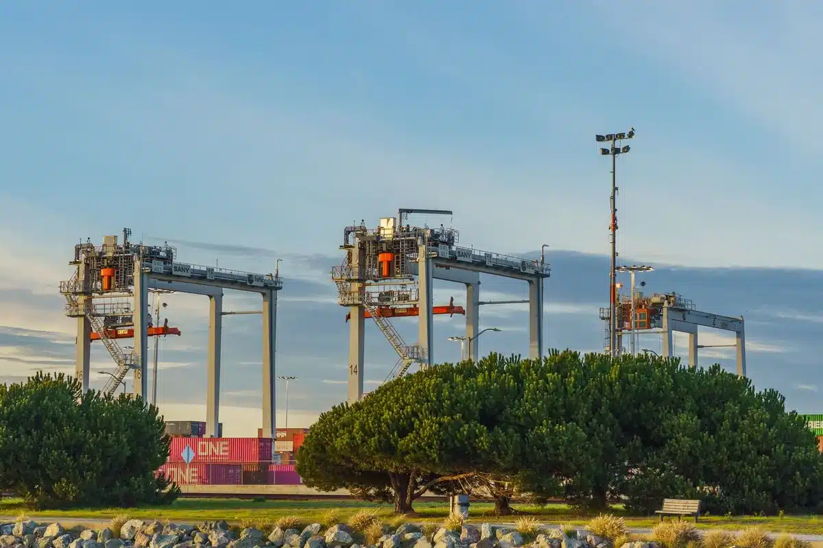 Terminal portuale con container impilati e gru di carico al tramonto