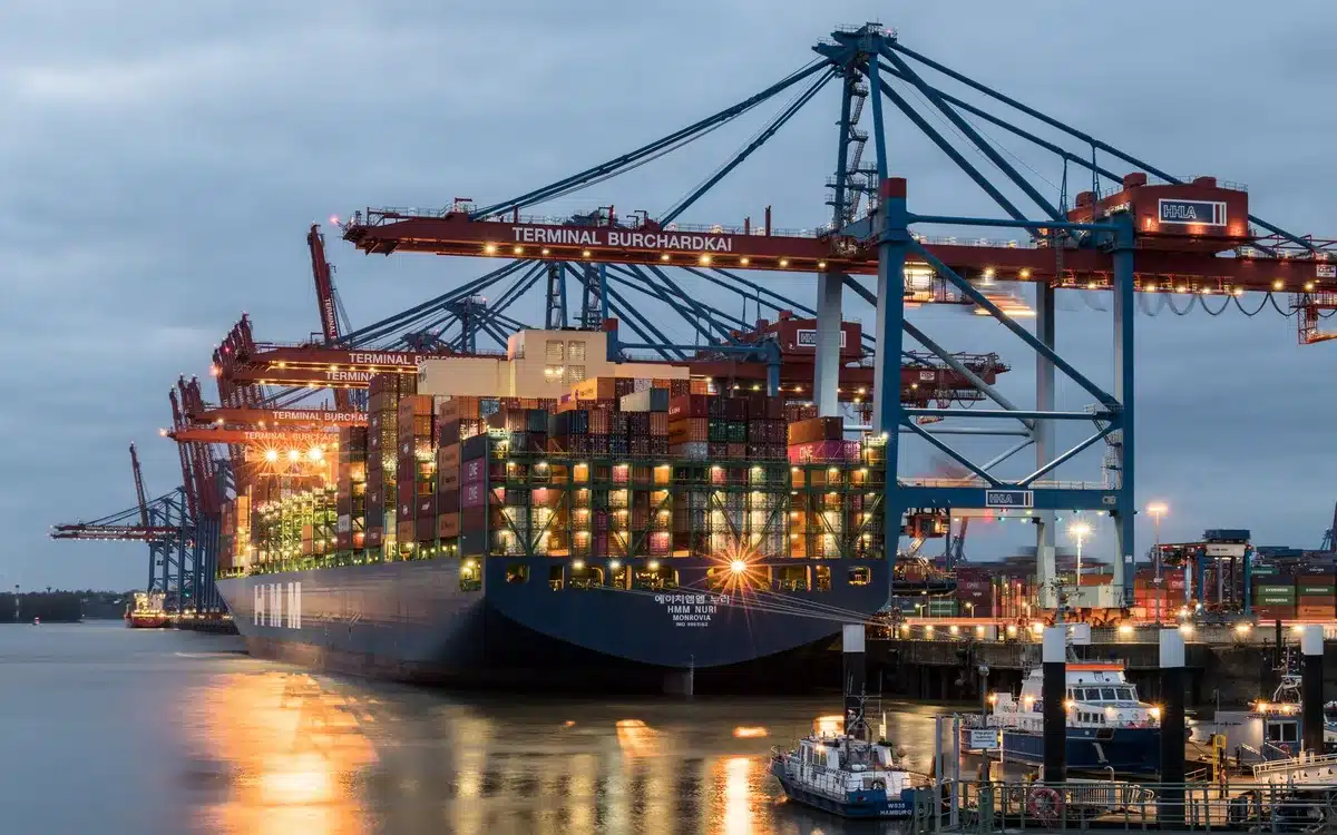 Navi da carico dirottate e blocchi nello Stretto di Hormuz causano interruzioni alle rotte marittime