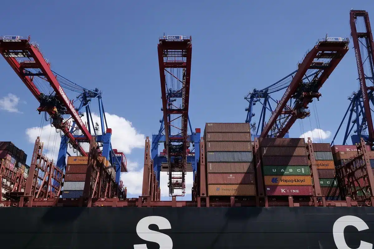 Silhouette di gru portuali e container con operatore anonimo che consulta un tablet