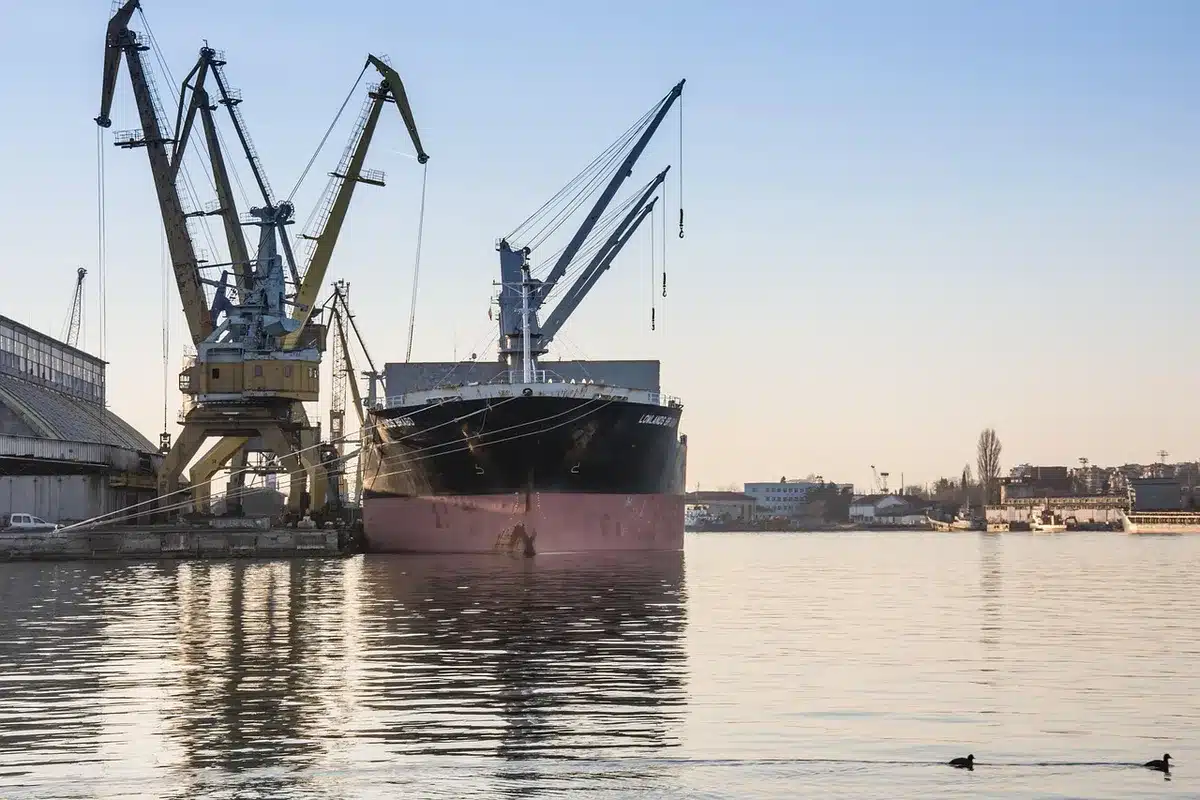 Operazioni portuali con gru e container al porto di Genova