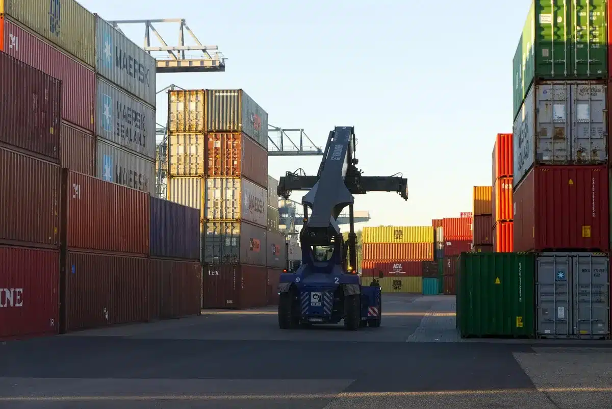 File di container impilati nel porto con gru sullo sfondo