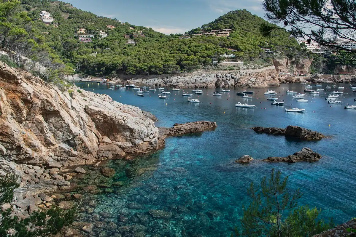 Banchine galleggianti e vegetazione costiera al tramonto in un marina anonimo